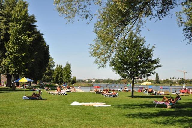 Schoenes Living Am Donauufer Vienne Extérieur photo